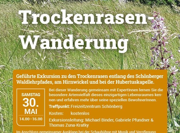 Trockenrasenwanderung Trockenrasenwanderung