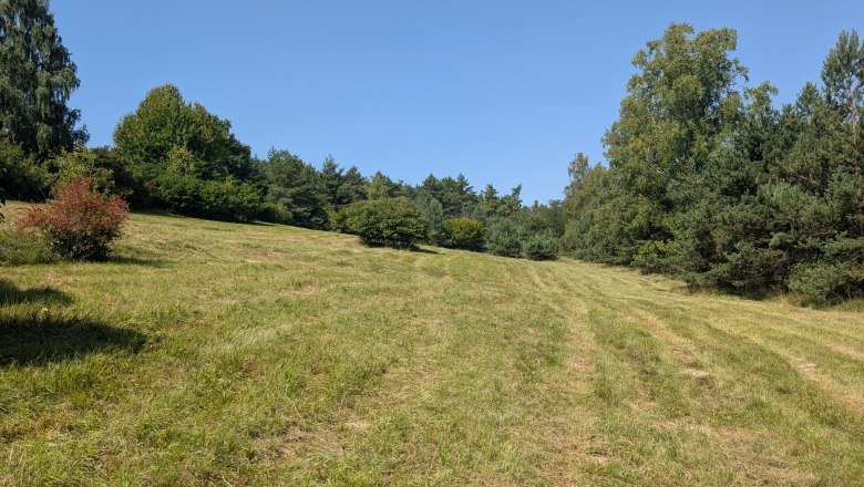 NP_Trockenrasenprojekt_2, © NP Kamptal Schönberg NP_Trockenrasenprojekt_2, © NP Kamptal Schönberg