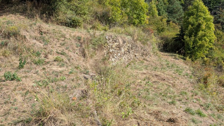 NP_Trockenrasenprojekt_3, © NP Kamptal Schönberg NP_Trockenrasenprojekt_3, © NP Kamptal Schönberg