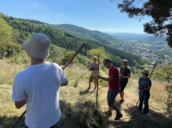 NP_Trockenrasenprojekt_1, © NP Kamptal Schönberg NP_Trockenrasenprojekt_1, © NP Kamptal Schönberg