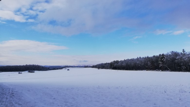 Manhartsberg im Winter 2, © Melanie Labner