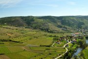 Panorama Weingärten und Kamp, © Gangelmayer