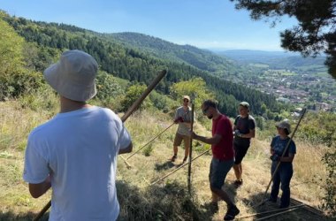 NP_Trockenrasenprojekt_1, &copy; NP Kamptal Sch&ouml;nberg