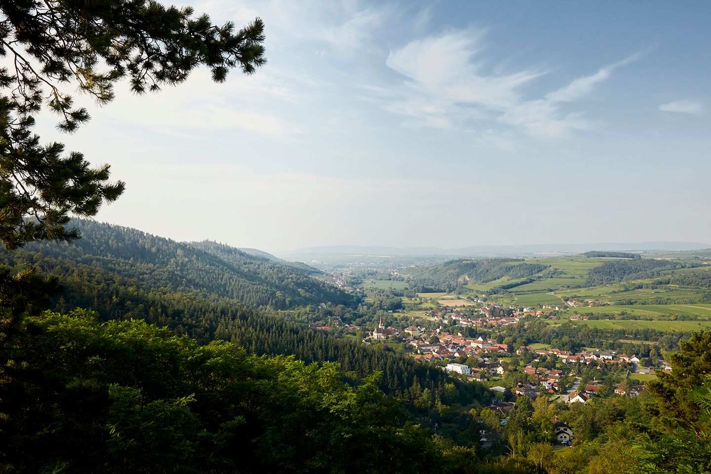 schonbergtourismus_2020-07-21_imgl0774_rupertpessl_web