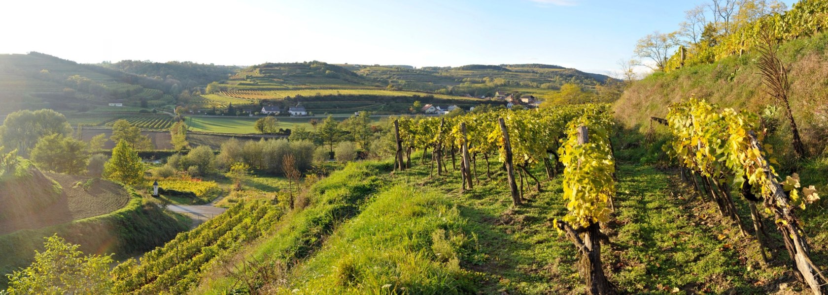 Weingarten Weinlehrpfad, © Franz Gangelmayer