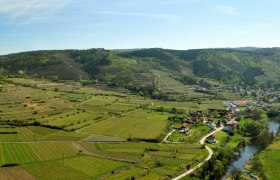 Panorama Weingärten und Kamp, © Gangelmayer