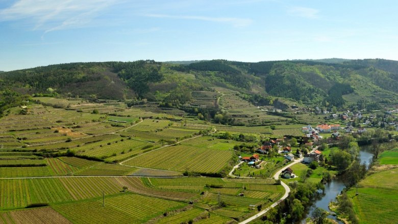 Panorama Weingärten und Kamp, © Gangelmayer