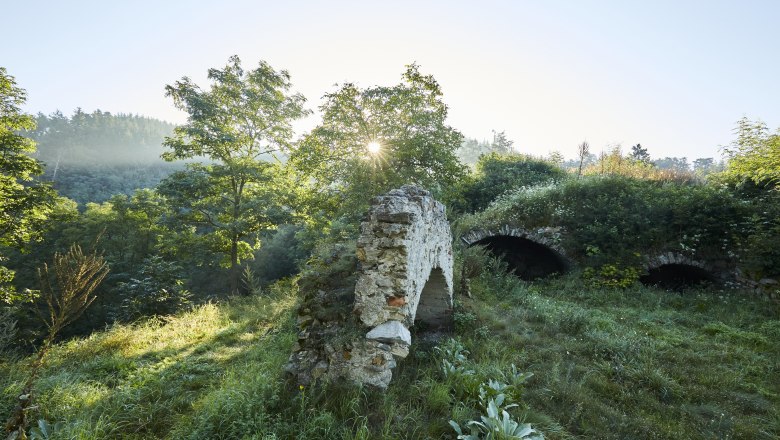 Ruine Schonenburg, © Rupert Pessl