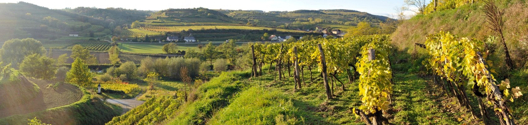 Weingarten Weinlehrpfad, &copy; Franz Gangelmayer