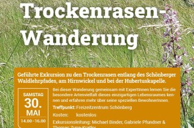 Trockenrasenwanderung
