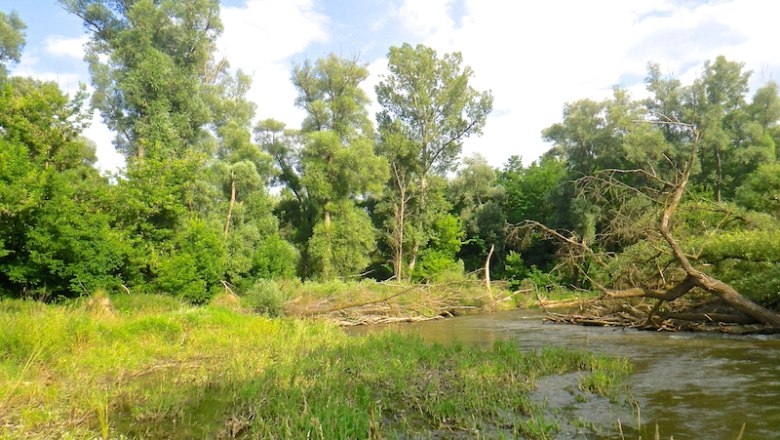 Flusslandschaft