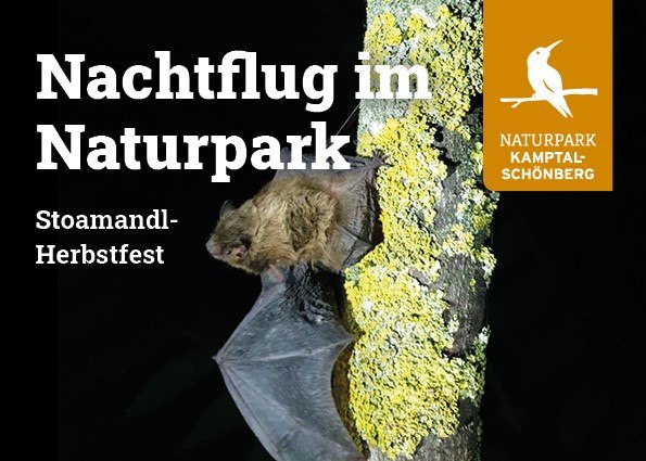 NP Nachtflug im Naturpark