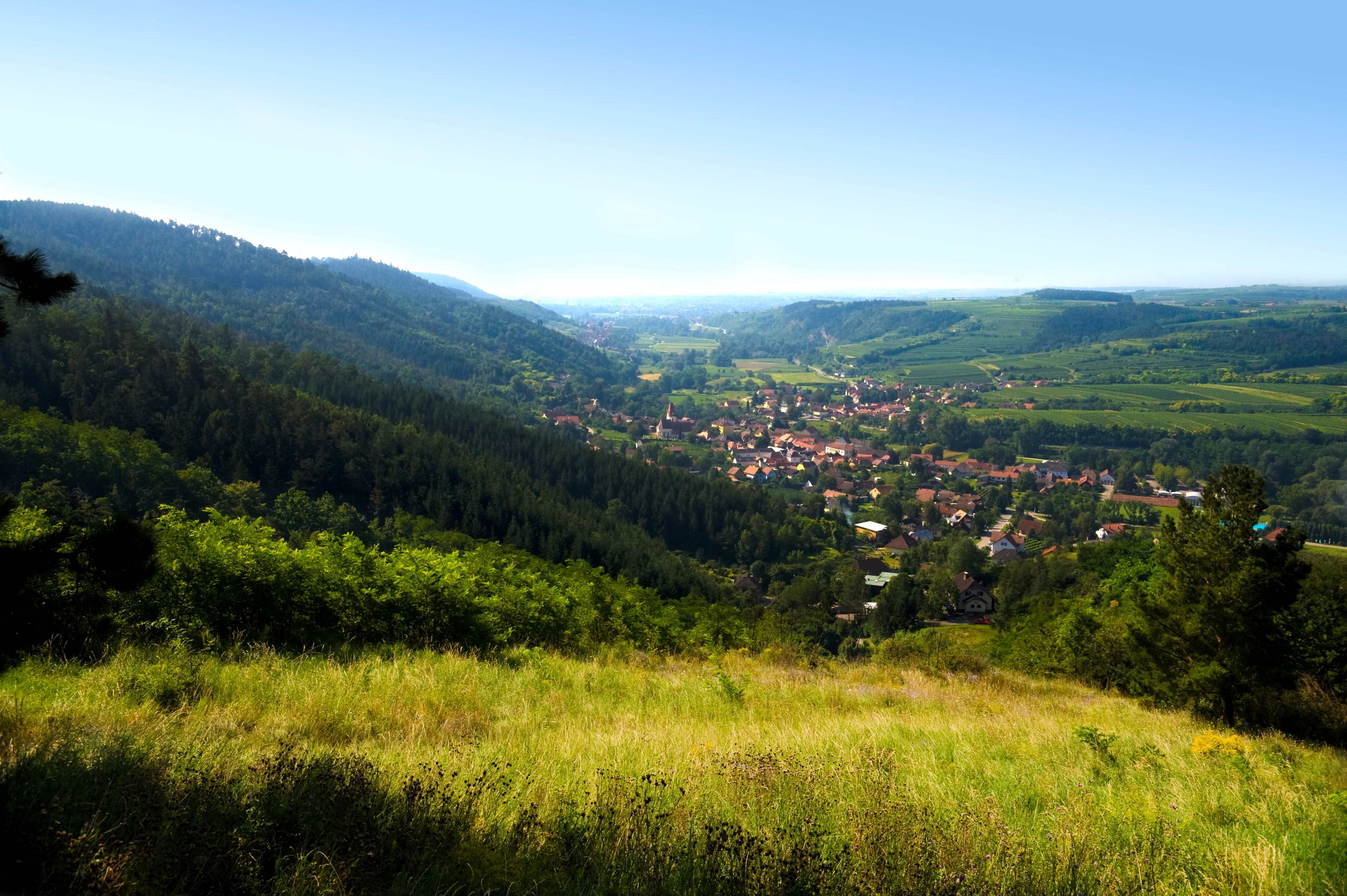 Die sanften Hügel des Naturparks Kamptal-Schönberg laden zu unvergesslichen Erlebnissen ein. Saftige Wiesen und üppige Wälder umrahmen die malerischen Dörfer, während die Sonne den Himmel in warmen Farben erleuchtet. Hier entfaltet sich die Schönheit des Sommers in voller Pracht.