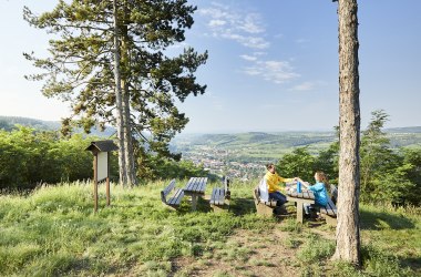 Ausblick vom Manhartsberg nach Schönberg am Kamp, © Rupert Pessl