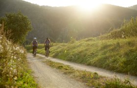 Kamptal-Radweg in Stiefern, © Rupert Pessl