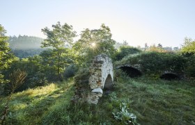 Ruine Schonenburg, © Rupert Pessl