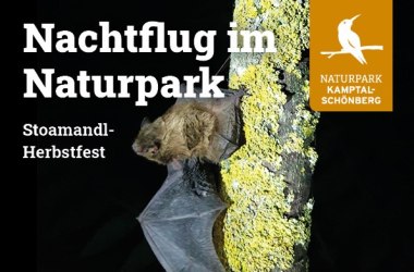 NP Nachtflug im Naturpark