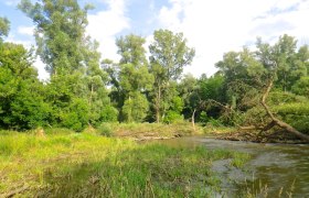 Flusslandschaft