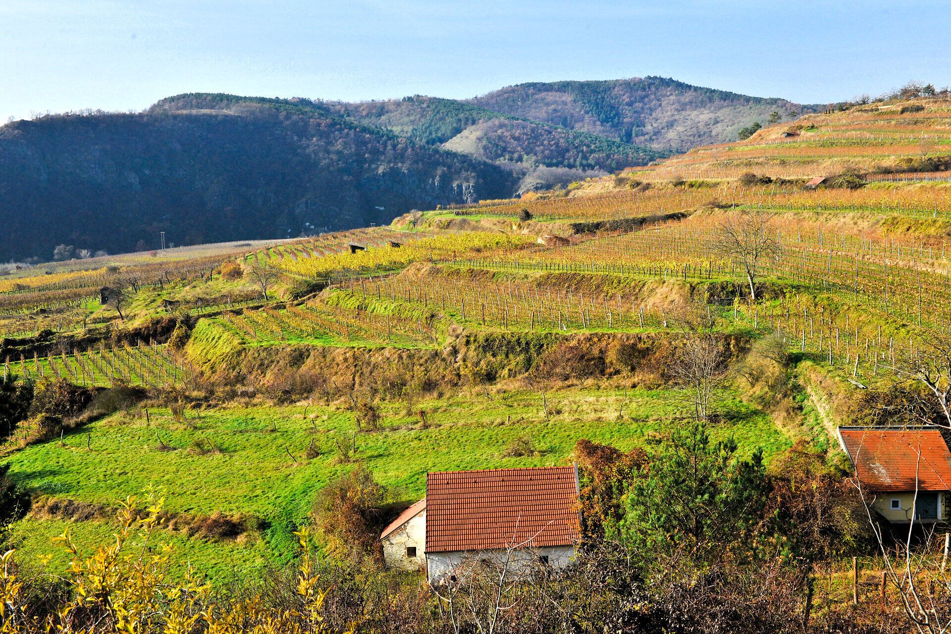 Die sanften Hügel des Naturparks sind mit üppigen Weinreben bedeckt, die im warmen Sonnenlicht glänzen. Kleine, charmante Hütten laden dazu ein, eine Pause einzulegen und die atemberaubende Aussicht auf die malerische Landschaft zu genießen. Hier, wo die Natur in voller Blüte steht, wird der Sommer zum unvergesslichen Erlebnis.